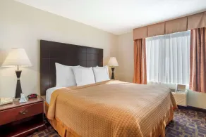 Best Western Carowinds - Room