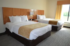 Comfort Suites Bossier City - Shreveport East - Chambre