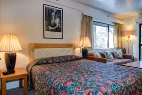 Inside Yosemite Park-Cozy Corner Unit-Sleeps 2 - Værelse