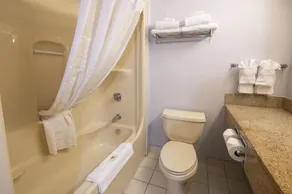 Comfort Hotel & Suites - Salle de bain