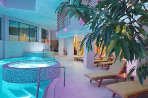 Mona Plaza Zlatibor - Pool