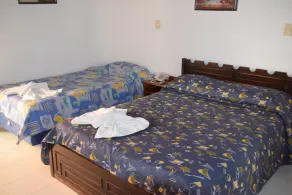 Hotel Palmas del Sol - Room