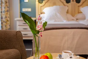Hotel Palacio De La Viñona - Chambre