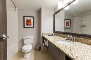 Branson Hillside Hotel - Salle de bain