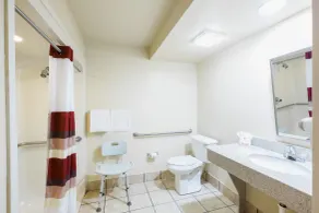GreenTree Inn - IAH Airport JFK Blvd - Salle de bain