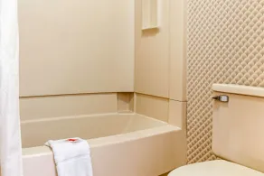 Econo Lodge Holland - Toledo - Salle de bain