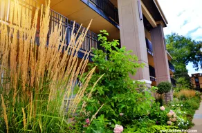 Centerstone Plaza Hotel Soldiers Field - Mayo Clinic Area - Chambre