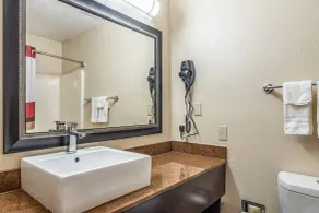 Red Roof PLUS+ & Suites Atlanta Airport South - Salle de bain