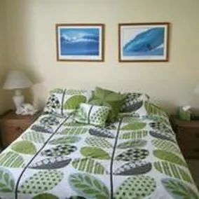 G32 - Harbor Cottage - On-the-Sand - Room