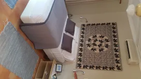 Bavaro Green - Room