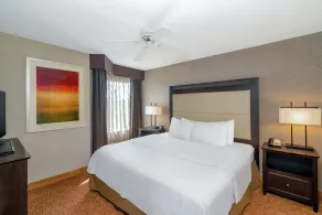 Homewood Suites by Hilton Lafayette Rossville Exit - Chambre