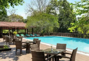 Tree of Life Nature Resort - Piscine