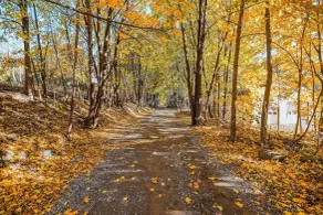 Cozy Apt by ITS 85 Trail, ½ Mi to Lake Wassookeag! - Interiør