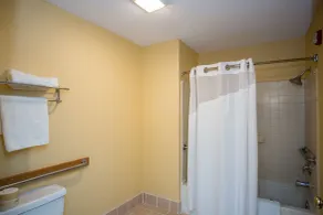 Vagabond Inn Executive - Bad