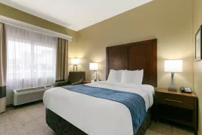 Comfort Inn & Suites Near University of Wyoming - Chambre
