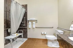 Best Western Plus Greenville South - Salle de bain
