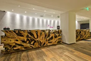 Meliá Paulista - Reception