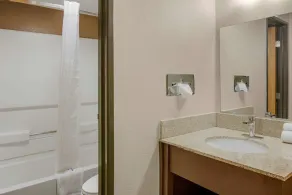 Rodeway Inn & Suites Grand Rapids Southeast - Salle de bain