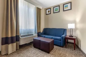 Comfort Suites Plano - Dallas North - Room