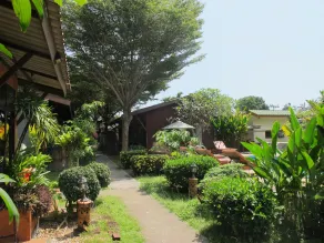 Phuket Siam Villas - SHA PLUS - Vue de la chambre