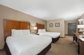 Comfort Inn Fort Myers Northeast - Room