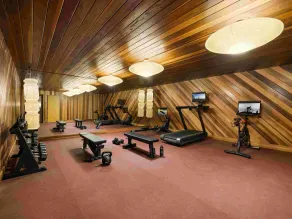 Wandering Buffalo - Salle de remise en forme