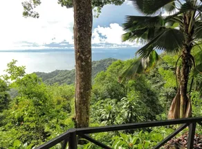 Villa Caletas - Vistas desde la habitación