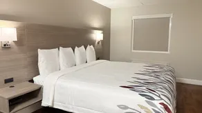 Red Roof Inn & Suites Swansea - Rum