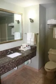 Comfort Suites Hagerstown Southeast - Salle de bain