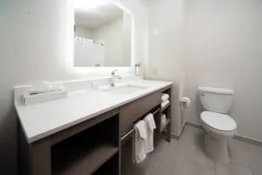 Holiday Inn Express Suites Little Rock West by IHG - Bad