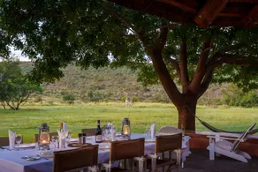 Zebras Crossing - Restaurant