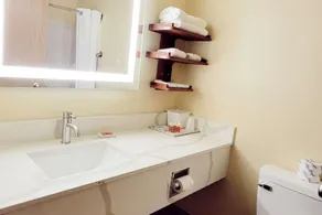 Econo Lodge Fargo - West Acres - Salle de bain
