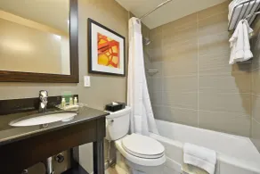 Holiday Inn NYC - Lower East Side - Chambre