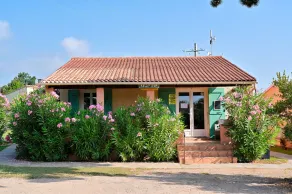 Pinea Mare - Reception