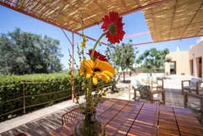Planeta Country House & Beach Club - Restaurant