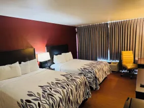 Lubbock Regency Inn - Værelse