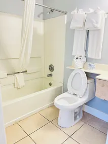 Tampa Bay Extended Stay - Airport - Salle de bain