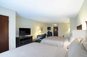 Comfort Suites Mobile-South Alabama University Area - Zimmer