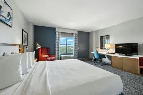 Hilton Garden Inn Houston/Sugar Land - Værelse