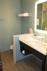 Holiday Inn Express & Suites - Hendersonville SE - Flat Rock by IHG - Salle de bain