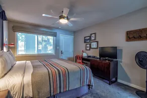 Basecamp Tahoe South - Chambre