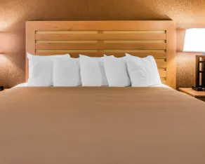 Quality Inn & Suites Warren - Detroit - Chambre