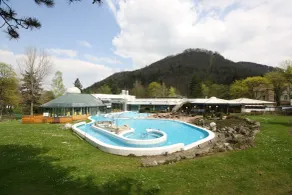 Solehotel Tannenhof - Piscine