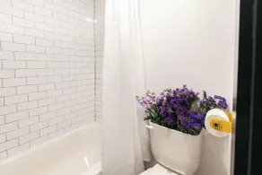 The Iris Motel - Salle de bain