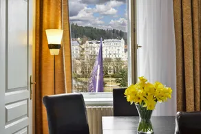 Apartments Central Park Marienbad - Utsikt fra rommet