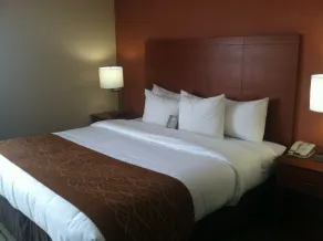 Country Inn & Suites by Radisson, Muskegon, MI - Chambre