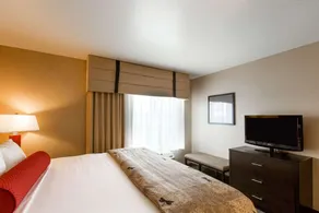 Cambria Hotel Rapid City near Mount Rushmore - Chambre