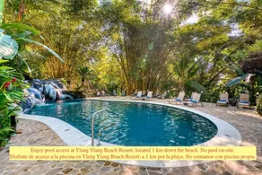 El Sano Banano Beachside Hotel - Pool
