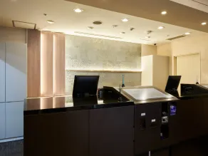 Villa Fontaine Tokyo Otemachi - Réception