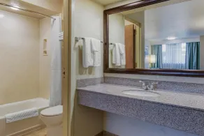 Best Western Foothills Inn - Baño